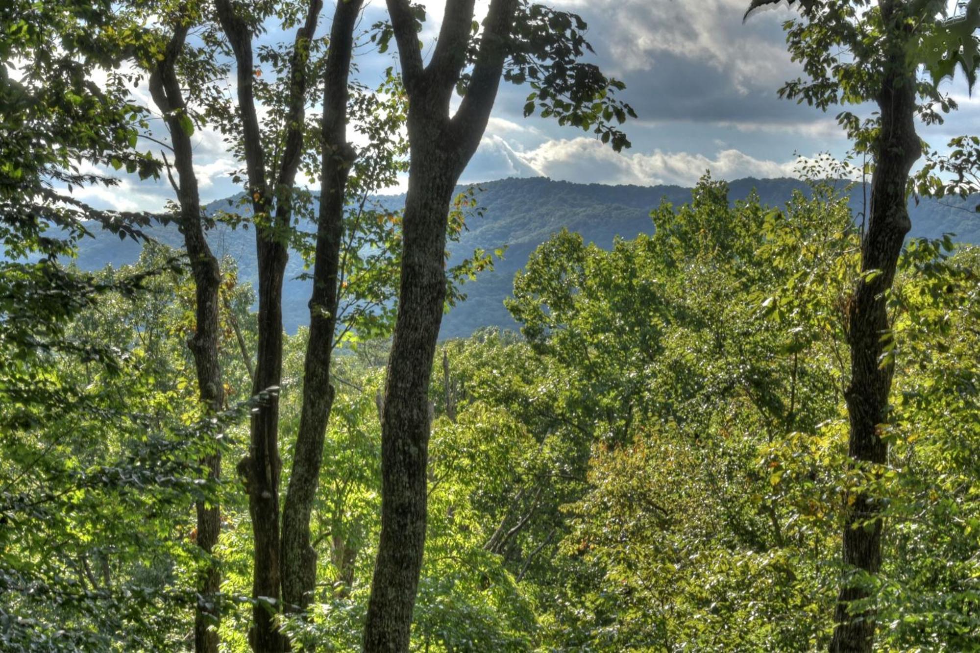 Bearfoot Ridge Wood-Burning Fireplace Cozy Hot Tub Serene Views Ellijay Esterno foto