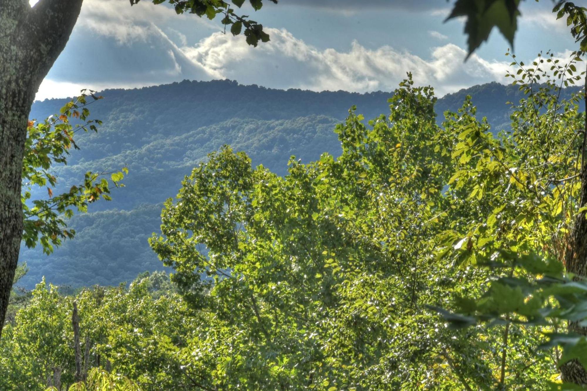 Bearfoot Ridge Wood-Burning Fireplace Cozy Hot Tub Serene Views Ellijay Esterno foto